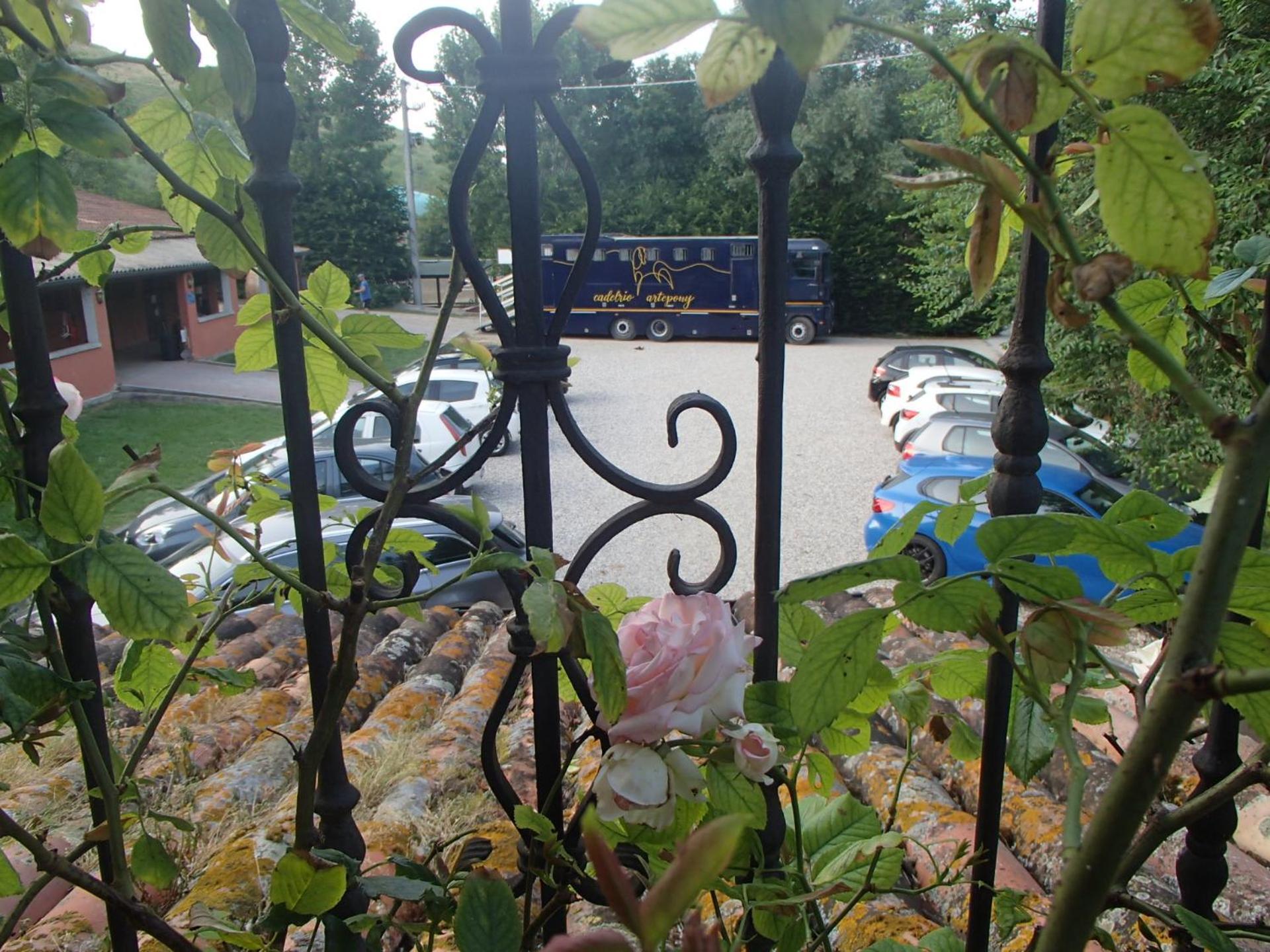 Villa Relais Ca Del Rio Botteghino di Zocca Exterior foto